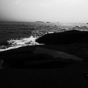 91精品久久久久久久久不卡蜜芽
